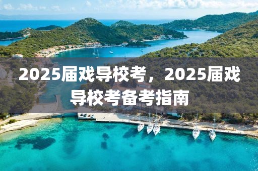 2025屆戲導?？?，2025屆戲導校考備考指南