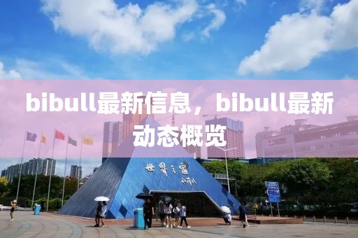 bibull最新信息，bibull最新動態(tài)概覽