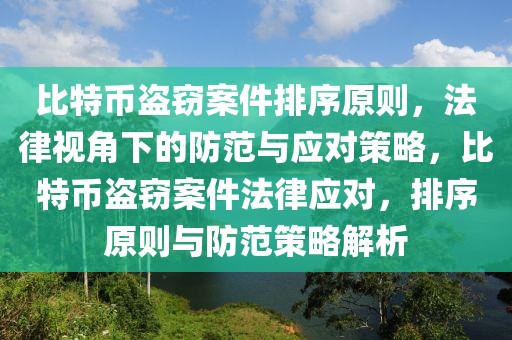 比特幣盜竊案件排序原則，法律視角下的防范與應(yīng)對(duì)策略，比特幣盜竊案件法律應(yīng)對(duì)，排序原則與防范策略解析