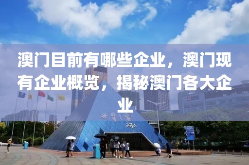 澳門目前有哪些企業(yè)，澳門現(xiàn)有企業(yè)概覽，揭秘澳門各大企業(yè)