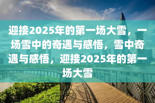 迎接2025年的第一場大雪，一場雪中的奇遇與感悟，雪中奇遇與感悟，迎接2025年的第一場大雪