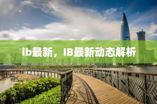 ib最新，IB最新動態(tài)解析