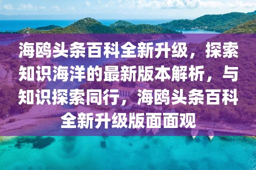 海鷗頭條百科全新升級，探索知識海洋的最新版本解析，與知識探索同行，海鷗頭條百科全新升級版面面觀