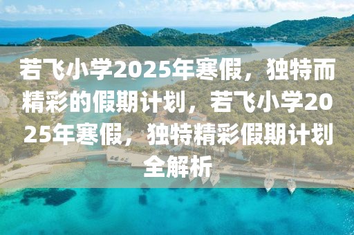 若飛小學(xué)2025年寒假，獨特而精彩的假期計劃，若飛小學(xué)2025年寒假，獨特精彩假期計劃全解析