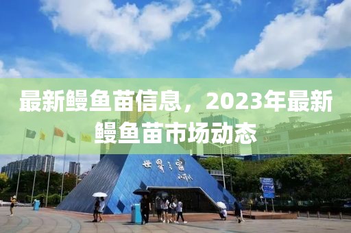 最新鰻魚苗信息，2023年最新鰻魚苗市場(chǎng)動(dòng)態(tài)