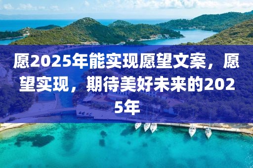 愿2025年能實(shí)現(xiàn)愿望文案，愿望實(shí)現(xiàn)，期待美好未來的2025年