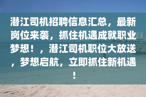 潛江司機(jī)招聘信息匯總，最新崗位來(lái)襲，抓住機(jī)遇成就職業(yè)夢(mèng)想！，潛江司機(jī)職位大放送，夢(mèng)想啟航，立即抓住新機(jī)遇！