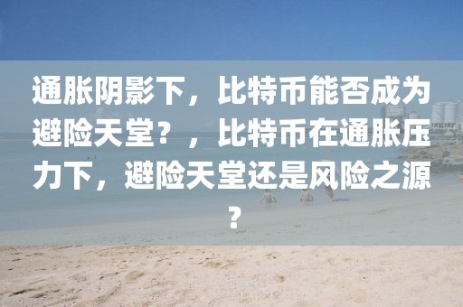 通脹陰影下，比特幣能否成為避險天堂？，比特幣在通脹壓力下，避險天堂還是風險之源？