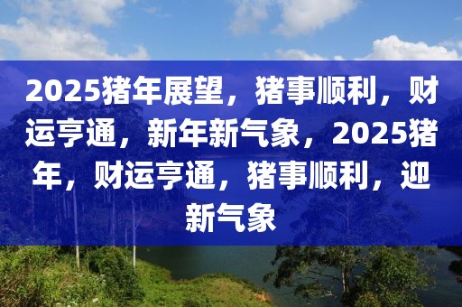 2025豬年展望，豬事順利，財(cái)運(yùn)亨通，新年新氣象，2025豬年，財(cái)運(yùn)亨通，豬事順利，迎新氣象