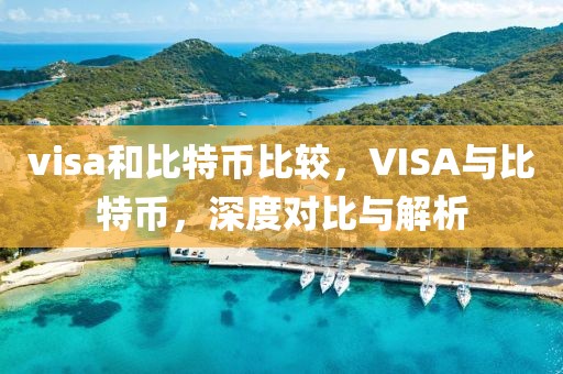 visa和比特幣比較，VISA與比特幣，深度對比與解析