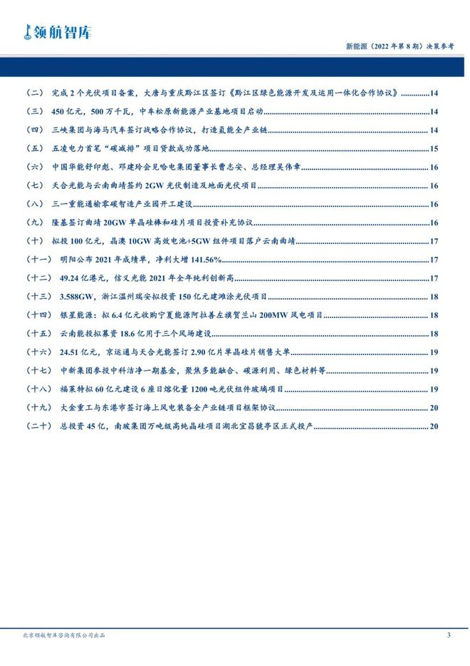 政府新能源工作總結(jié)匯報(bào)，政府新能源工作年度總結(jié)匯報(bào)，進(jìn)展、挑戰(zhàn)與未來展望