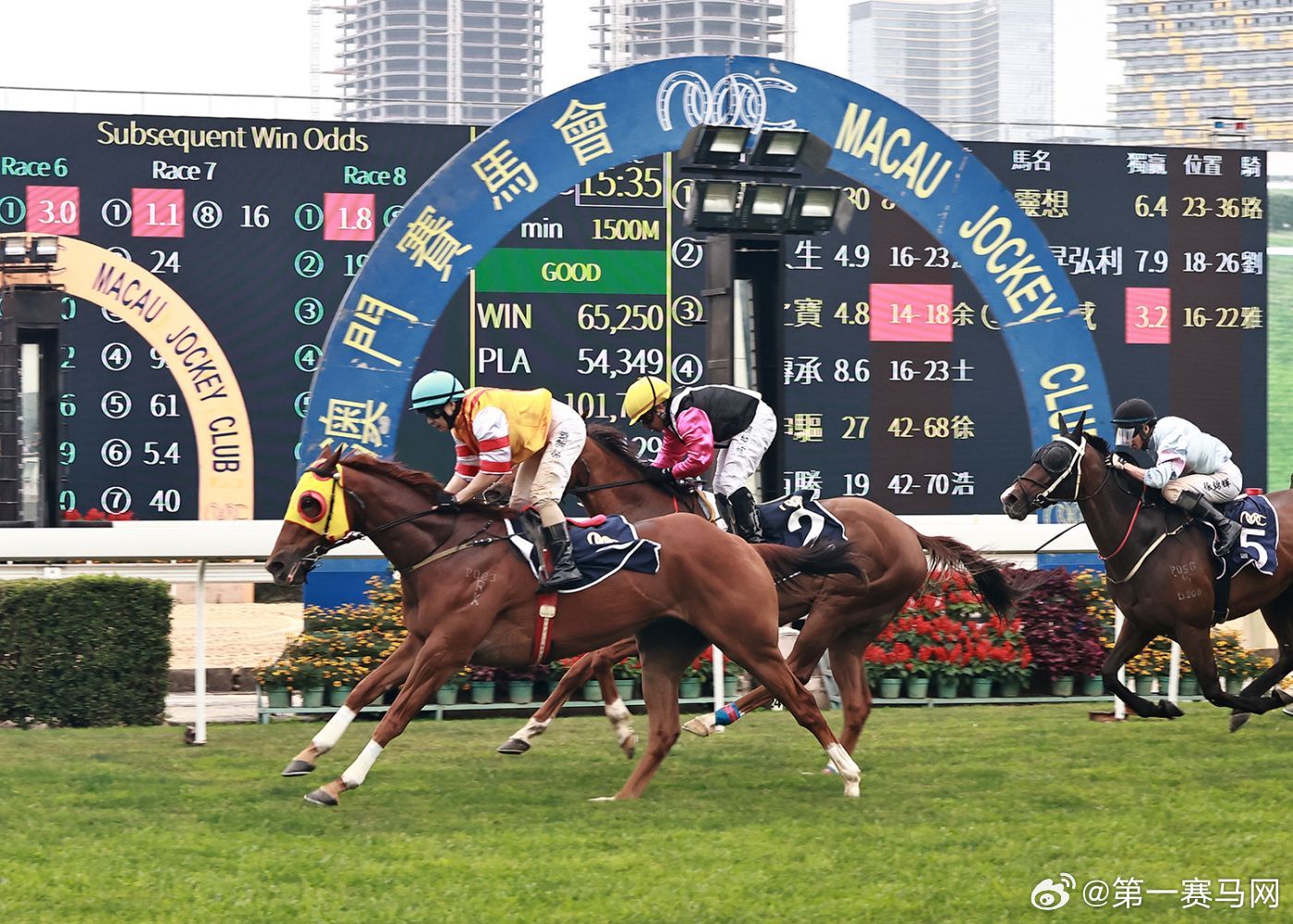 澳門馬會正版掛牌，澳門馬會正版掛牌介紹