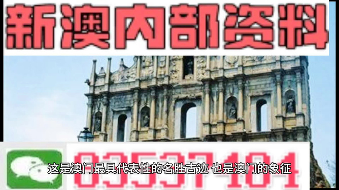 2024新澳資料大全免費(fèi)招財(cái)貓,澳門新彩，澳門新彩資料揭秘，招財(cái)貓背后的風(fēng)險(xiǎn)與犯罪警示