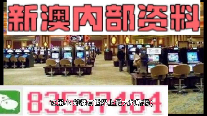 2024新澳資料大全免費(fèi)招財(cái)貓,澳門新彩，澳門新彩資料揭秘，招財(cái)貓背后的風(fēng)險(xiǎn)與犯罪警示