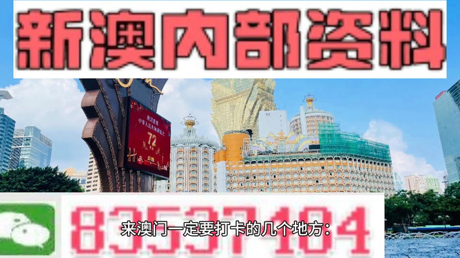 2024新澳門精準免費資料查看，澳門精準資料免費查看，揭秘未來預(yù)測與最新資訊