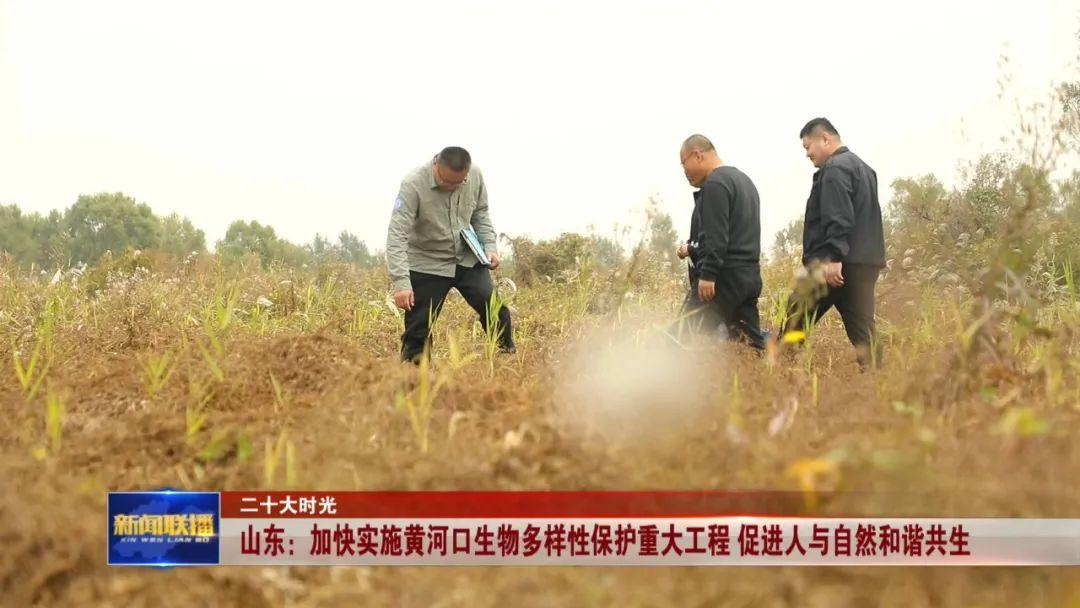 新能源電動汽車漂移視頻，探索綠色駕駛新境界，新能源電動汽車漂移秀，綠色駕駛的極致探索