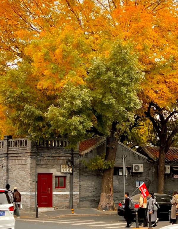 北京旅游團報價五日游價格，北京五日游旅游團超值報價揭秘