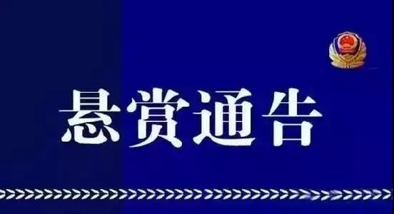 澳門正版四大論壇網站，澳門正版四大論壇網站，犯罪違法行為的警示標題