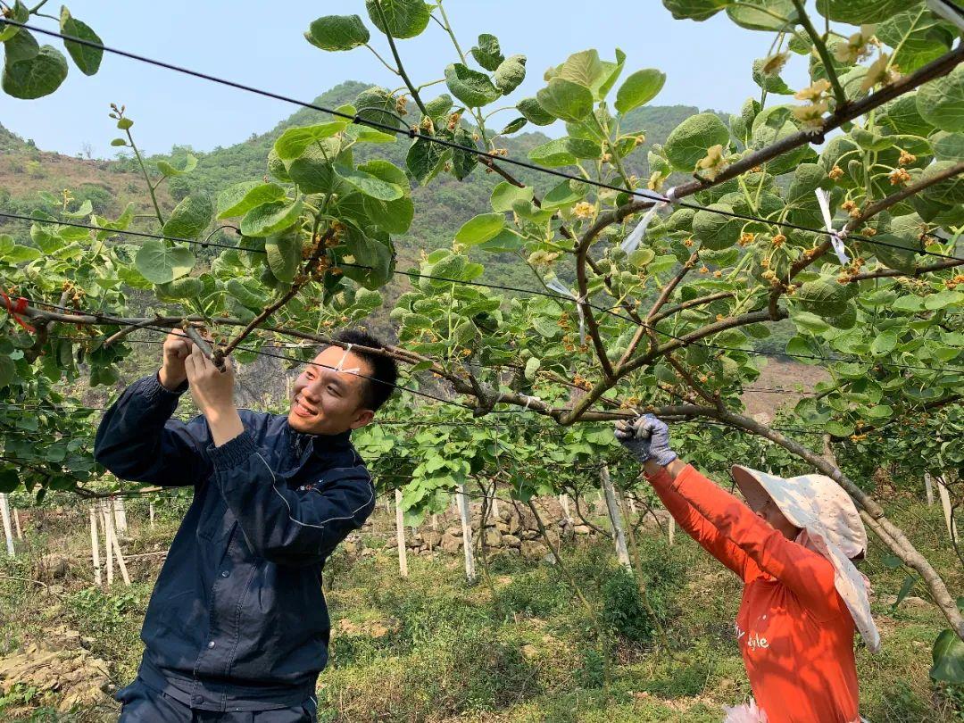 廣德環(huán)保新能源，廣德綠色能源創(chuàng)新之路