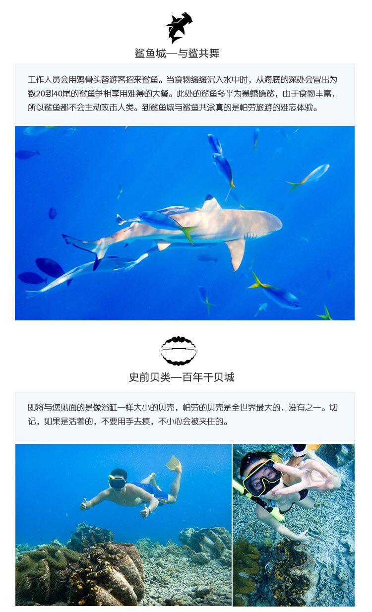 澳門正版美人魚中獎(jiǎng),香港美人魚心中論壇，澳門正版美人魚中獎(jiǎng)與香港美人魚論壇熱議