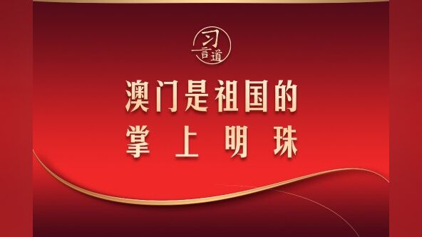 澳門澳117正牌資料正版掛牌，澳門澳117正牌資料正版掛牌背后的犯罪問題探究