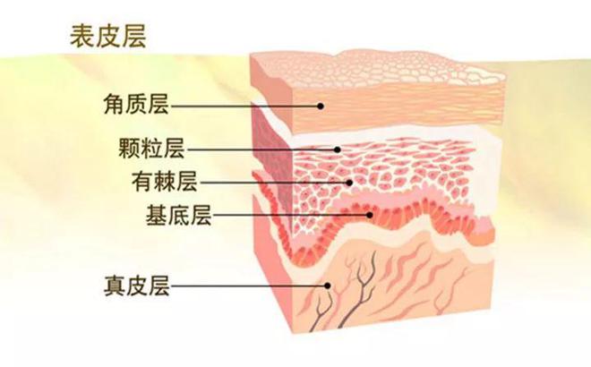 現(xiàn)在銀屑病有最新消息，銀屑病最新消息揭秘