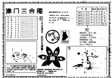 王中王中特網(wǎng)資料大全，王中王中特網(wǎng)資料全集