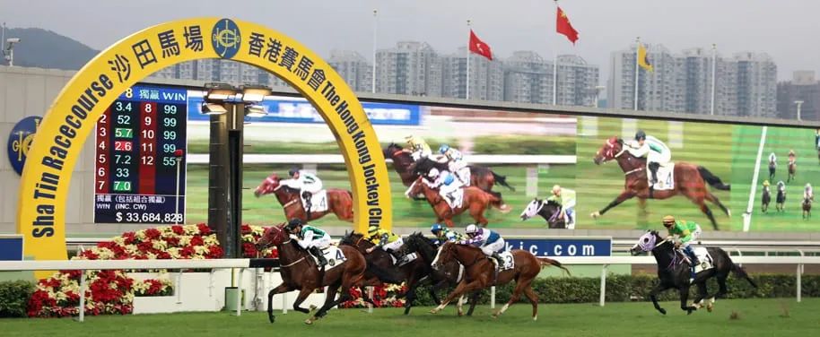 香港買馬12生肖號碼圖，香港買馬生肖號碼圖揭秘