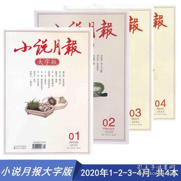 正版資料大全全年2020年. 小說，正版小說資料大全全年精選 2020年版