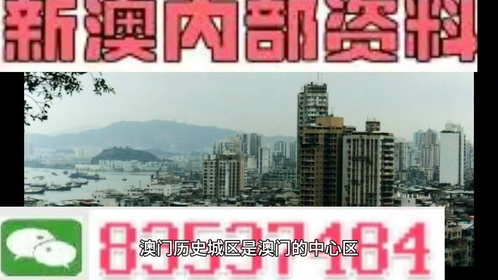 4949澳門精準(zhǔn)免費(fèi)大全小說，關(guān)于澳門精準(zhǔn)免費(fèi)大全小說的違法犯罪問題探討