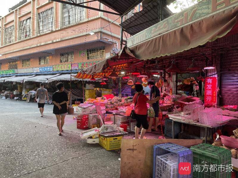 香港開碼現(xiàn)場直播開獎結(jié)果，香港開碼現(xiàn)場直播開獎結(jié)果揭曉