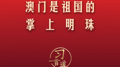 澳門掛牌正版澳門掛牌,澳門掛牌正版掛牌完整掛牌，澳門掛牌正版掛牌風(fēng)險(xiǎn)警示，警惕非法賭博活動(dòng)，切勿參與違法犯罪行為。