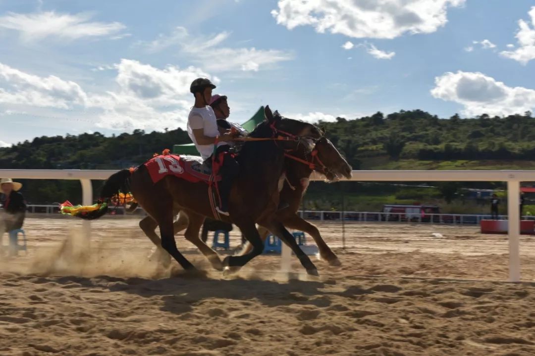 2021澳門跑馬圖，澳門跑馬圖全景圖，揭秘賽馬盛況