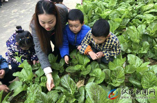 儀隴縣最新動態(tài)，能入城政策最新消息解讀，儀隴縣最新入城政策解讀，最新動態(tài)全解析