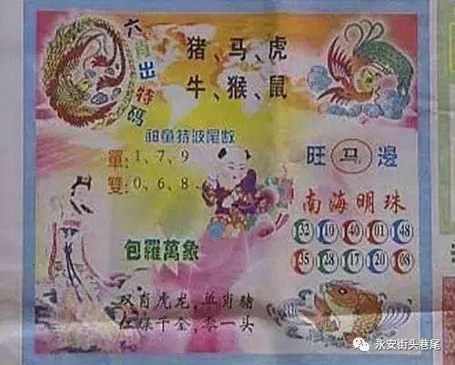 澳門平特論壇網(wǎng)站，澳門平特論壇官方網(wǎng)站揭秘