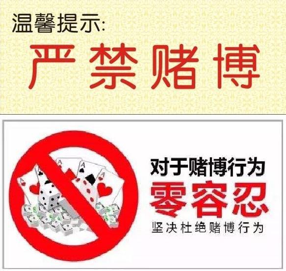 澳門精準10U%單雙，澳門精準單雙犯罪警示，警惕賭博陷阱，切勿以身試法！