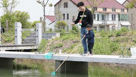 龍湖龍蝦價(jià)格走勢(shì)圖最新，龍湖龍蝦價(jià)格走勢(shì)圖及最新動(dòng)態(tài)分析