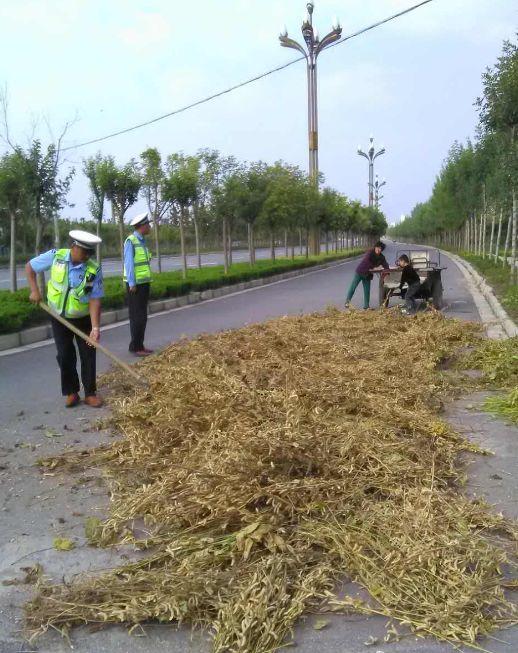 泌陽(yáng)新聞最新消息車禍,泌陽(yáng)新聞最新消息車禍?zhǔn)录?，泌?yáng)車禍?zhǔn)录钚孪?bào)道