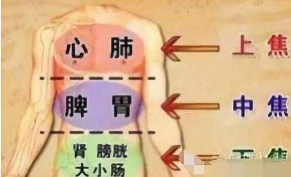 腎虛最新更章，腎虛最新更新章節(jié)概述