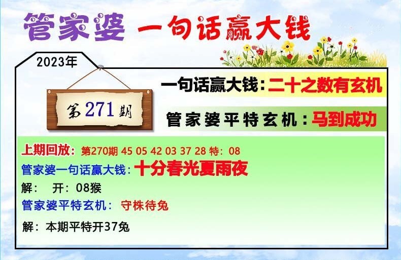 816969奇緣四肖管家婆的特點，816969奇緣，四肖管家婆獨特特點揭秘