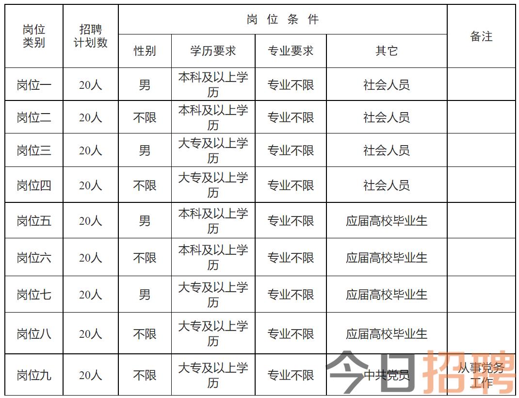 2023年東陽市最新招聘信息匯總，找工作的你一定不能錯過！，2023東陽招聘盛宴，最新職位匯總，求職者的福音！