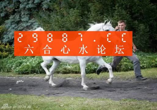 7777788888新版跑狗圖解析，新版跑狗圖解析，揭秘數(shù)字組合背后的秘密