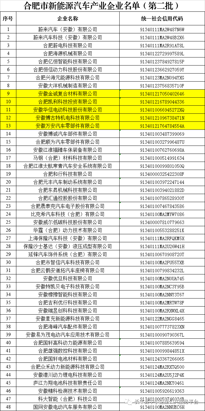 新能源 名單，2024年新能源產(chǎn)業(yè)重點企業(yè)名錄