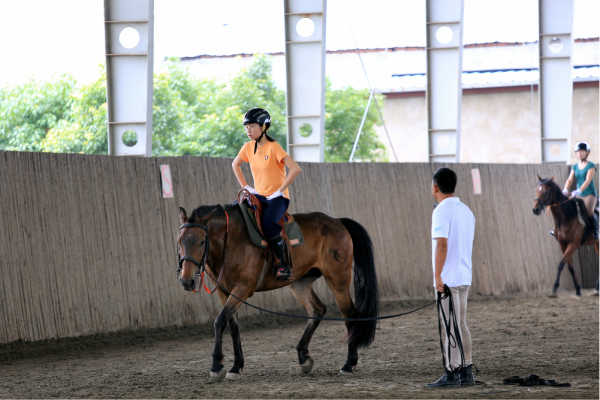 2012澳門馬正版免，關(guān)于澳門馬正版免費的違法犯罪問題探討