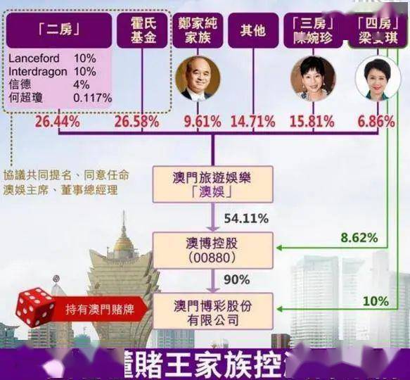 年澳門(mén)正版資料免費(fèi)，澳門(mén)正版資料免費(fèi)獲取背后的犯罪問(wèn)題探討