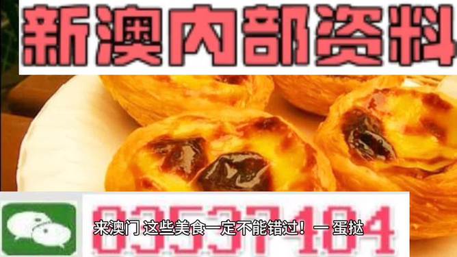 澳門內(nèi)部正版資料大全下，澳門內(nèi)部正版資料大全揭秘，警惕違法犯罪風(fēng)險(xiǎn)