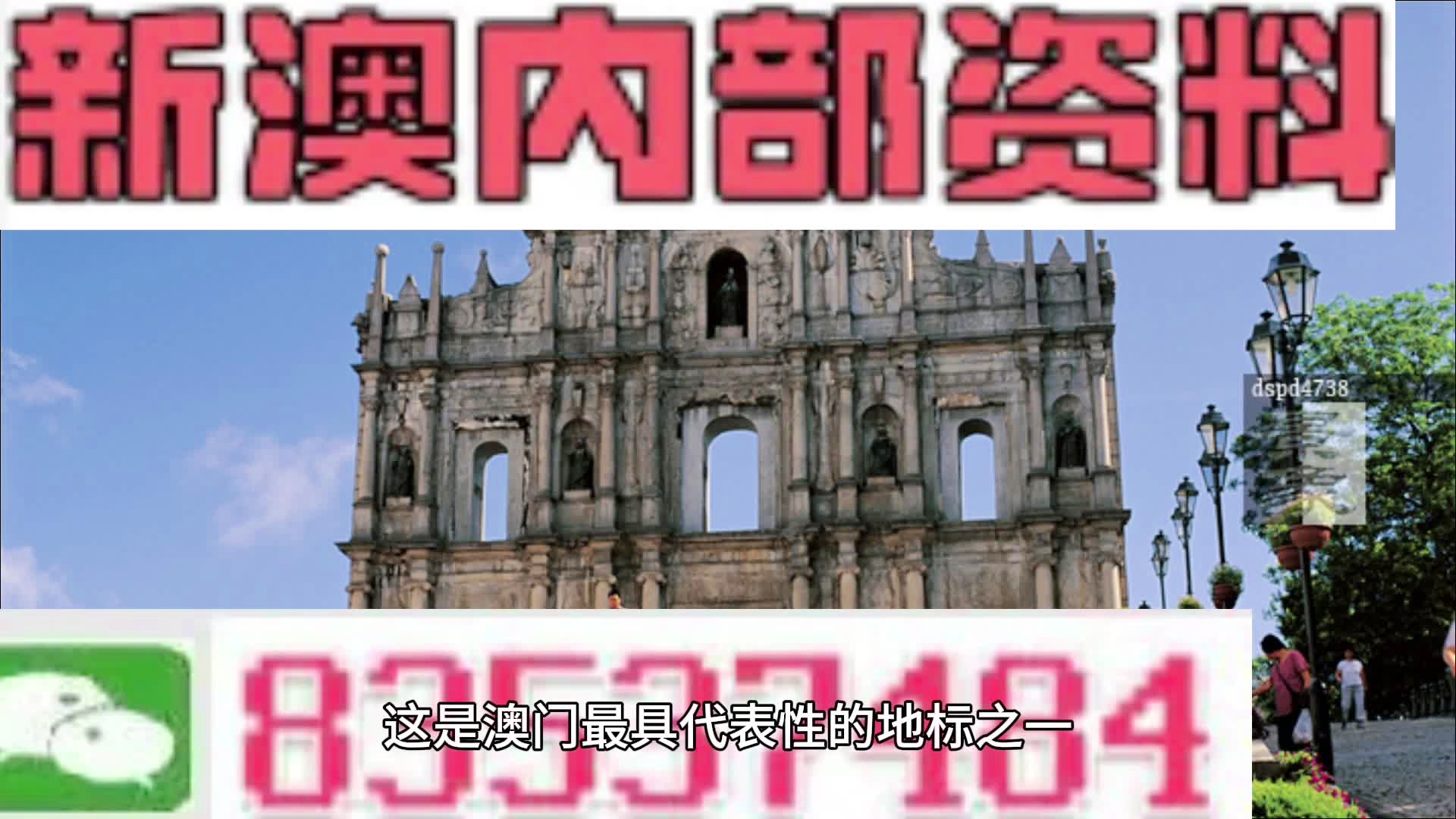 新澳精準(zhǔn)資料免費(fèi)提供生肖版，新澳精準(zhǔn)資料免費(fèi)分享，揭秘生肖版