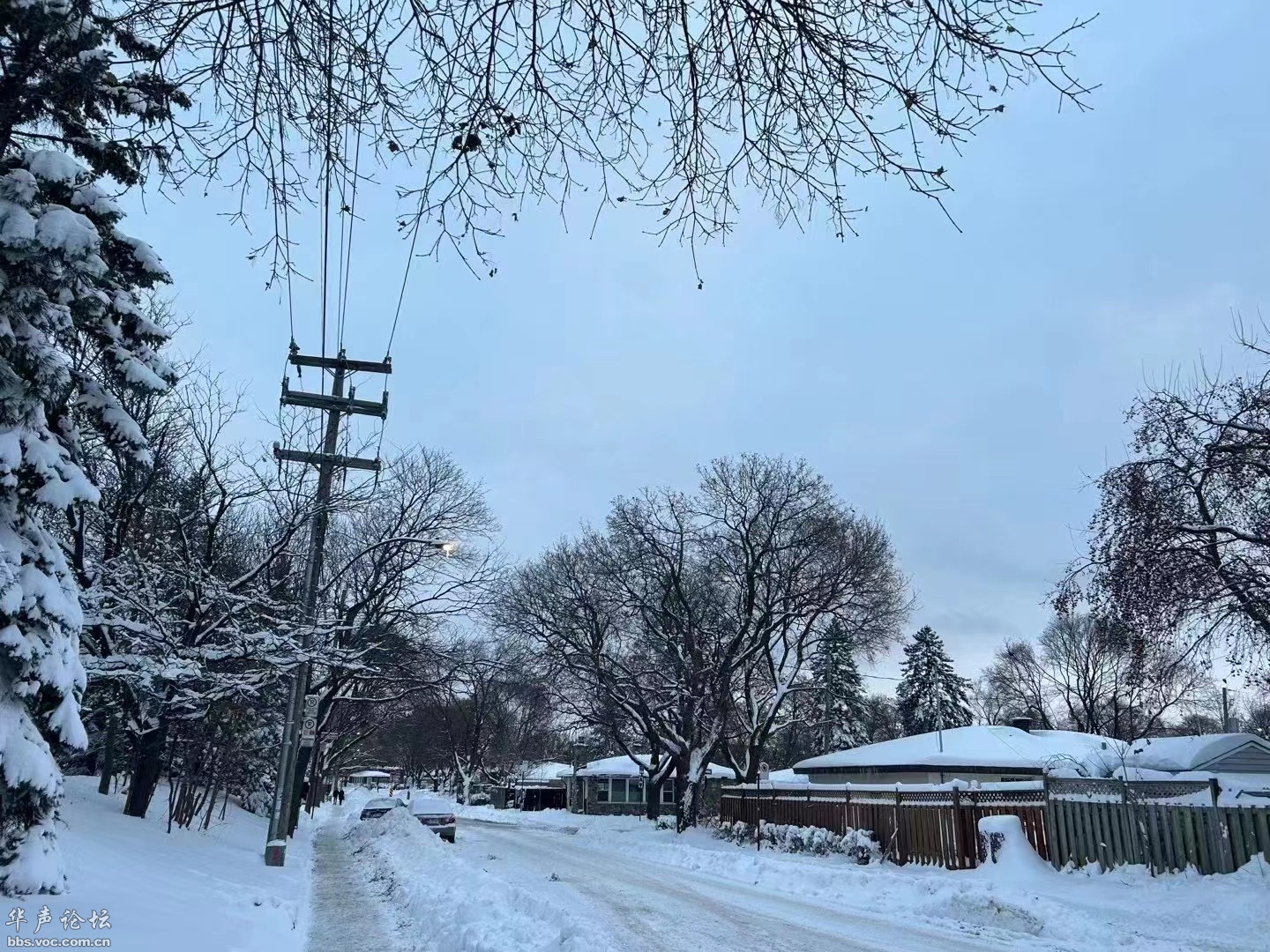 澳門正版全新圖片我要收雪功能，澳門正版全新雪景功能圖鑒