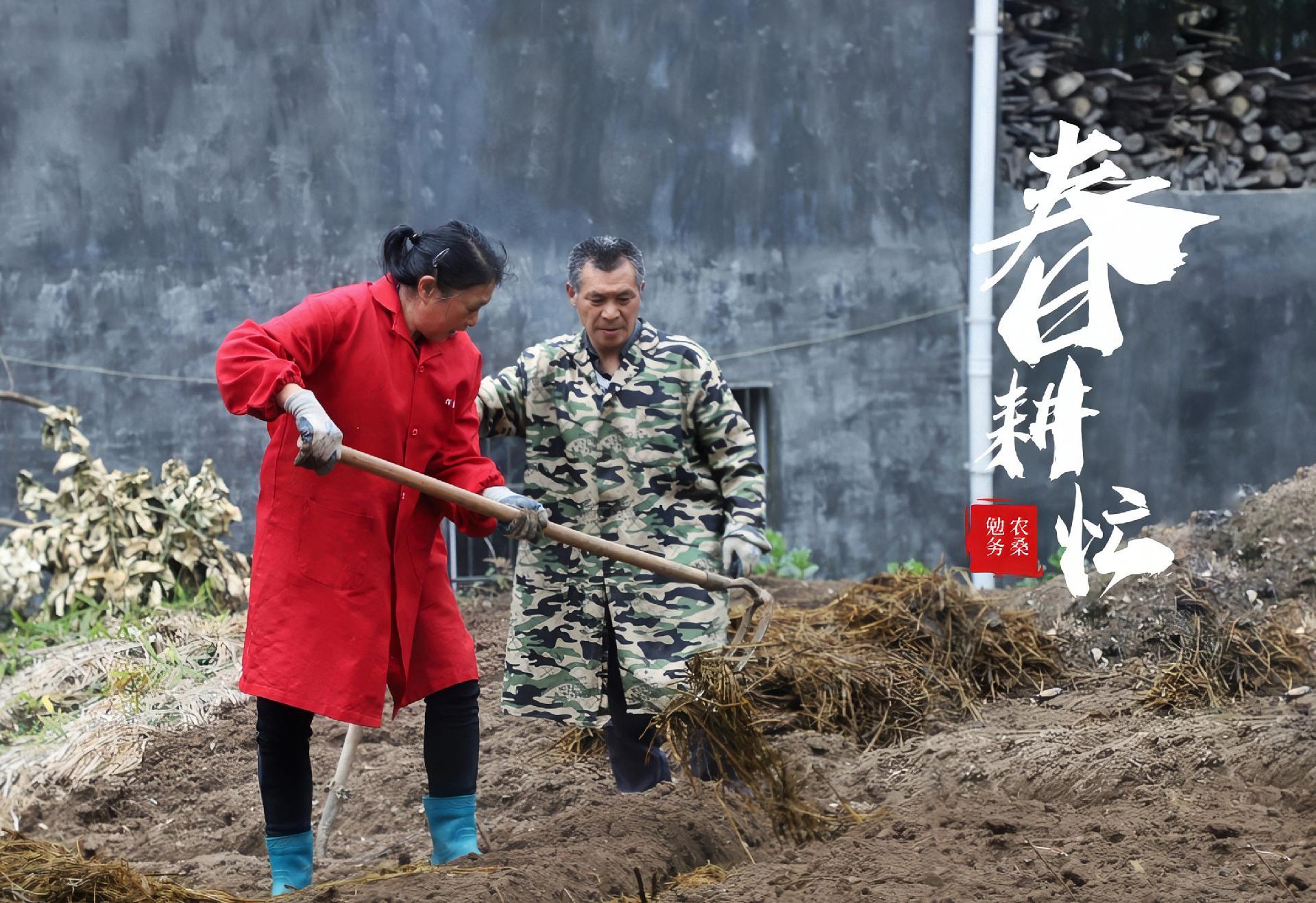 通聯(lián)新能源客車(chē)，通聯(lián)新能源客車(chē)，綠色出行的新選擇