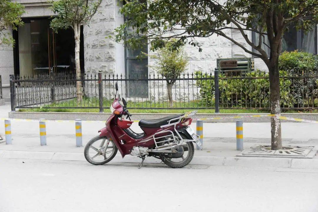 南坪鎮(zhèn)公路規(guī)劃最新消息，南坪鎮(zhèn)公路規(guī)劃最新動態(tài)揭秘